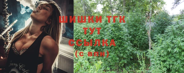 дживик Сатка
