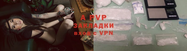 гидра Сафоново