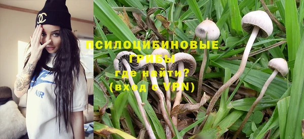 дживик Сатка