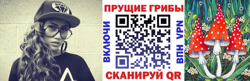 Купить где  Полысаево  Галлюциногенные грибы мицелий 